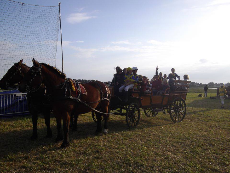 Journée du cheval