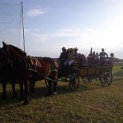 Journée du cheval
