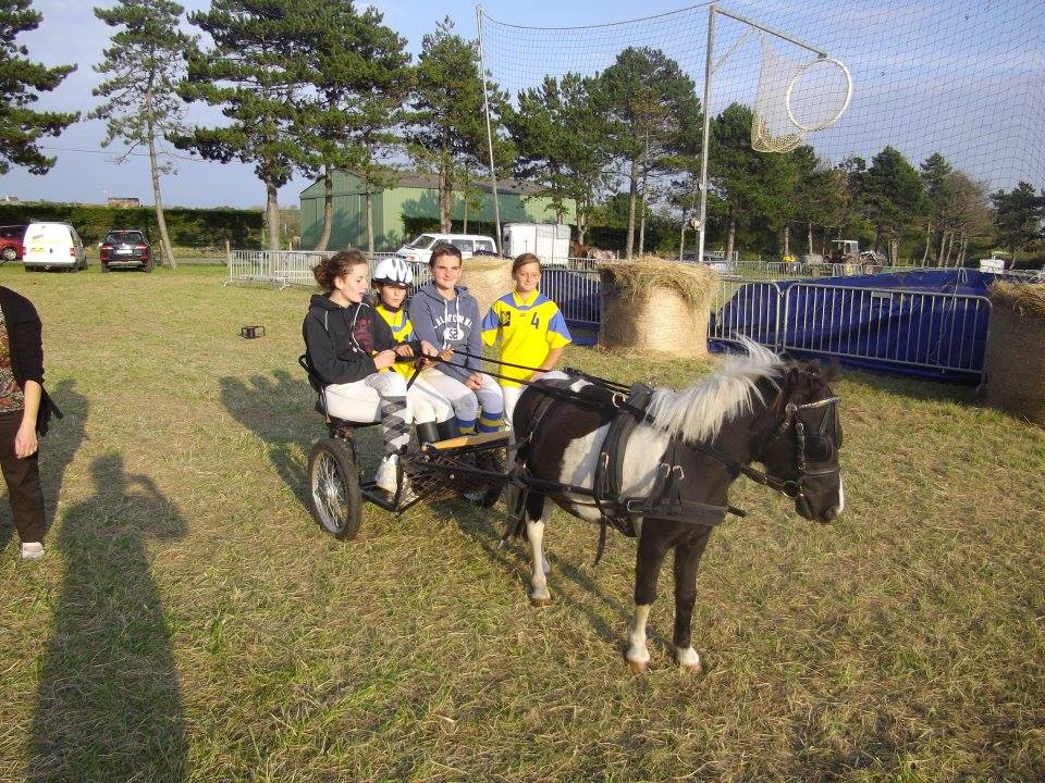 Journée du cheval