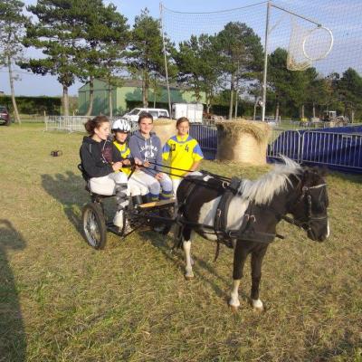 Journée du cheval