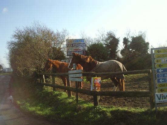 LES 2 CHEVAUX  de NADINE