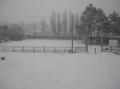 Club sous la Neige Janvier 2010