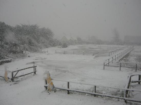 Club sous la neige 10