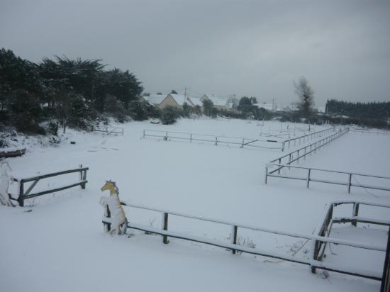 Club sous la neige 10